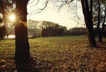 "Autumn Breath" / autumn breath