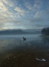 Returning to shore / ***