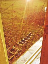 TIME OF AUTUMN / ..............