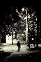 soft silence / a lonely shadow