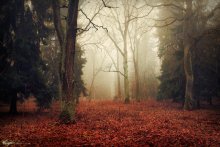 Autumn / ......