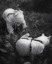 Now, I'll teach you how to catch mice ... / ******