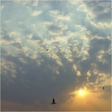 To the sun / *****