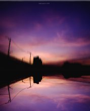 Life in the reflection / ...........................