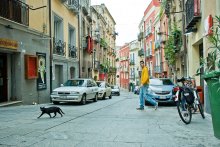 Black Cat / ***