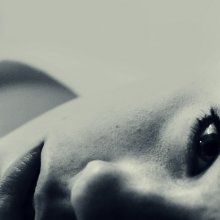 hang in silence / ***