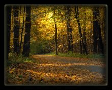 Herbst, wo wir den Walzer tanzte Boston ... / ***