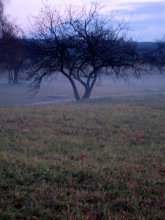 Fog / ***