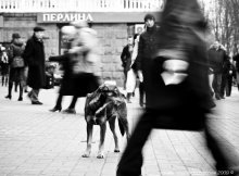 loneliness of the big city / ***