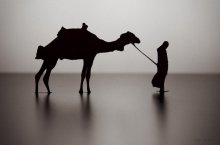 Desert / ***