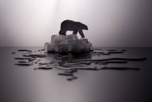 Cold / ***
