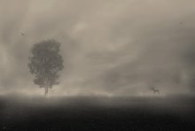 im Nebel ... / ***