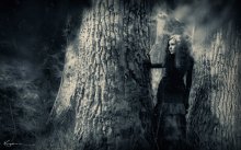 in search of Nikolodina / ***