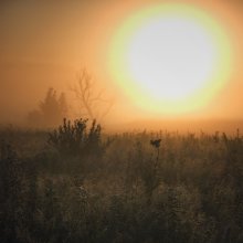 While a large sun ...... / ****************