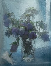 melancholy / ***