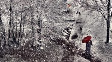 Schneefall / ...............