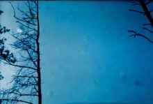 Winter came / ***