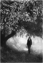 Walk / *****