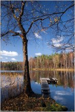 Farewell to fall / -------------