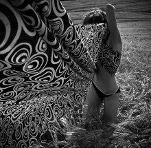 field / .....