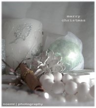 marry christmas / ......