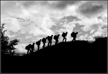 Wander around the world / *****