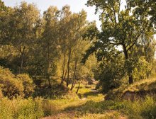 In the Ravine / ***