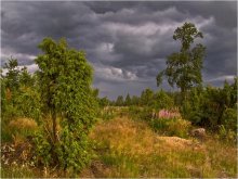 Vor schlechtem Wetter / ***
