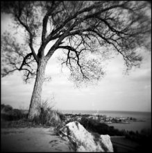 Loneliness / ***