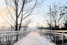 Road to winter / ***