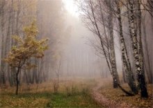 Autumn mists / ..........