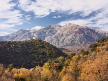 Among the hills / ***