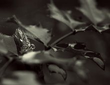Dew point / *****
