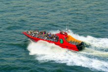 Boat trip / ***