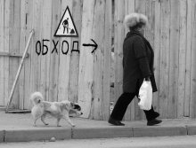 Bypass / ................