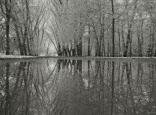 peacefulness / ***