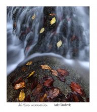 at the cascade / ***