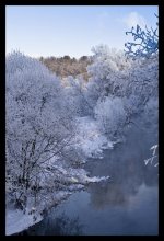 Winter / ***