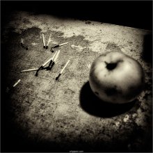 [ french still life ] / ***