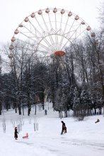 Winter Park / ***