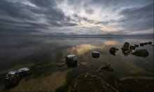 In the winter of calm reflection / ***