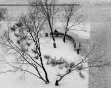 ..... This winter / ***