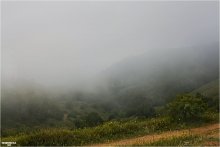 Fog / ***