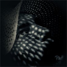 [ IUR ] / ***