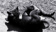 together forever .... / .........