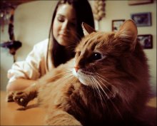 Mädchen und Katze / ******