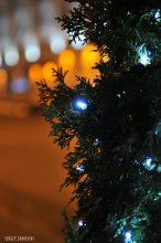 Neujahr / ...........