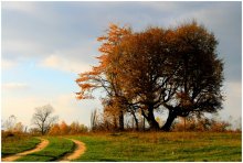 Autumn / ***