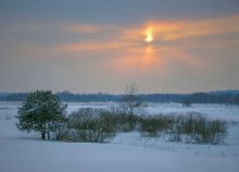 winter landscape / ***