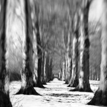 The road to nowhere .... / ***